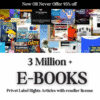 3 Million+ eBooks Bundle + 3M PLR Articles | Resell Rights Included